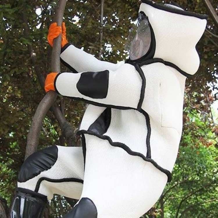 フェイスネット付き スズメ