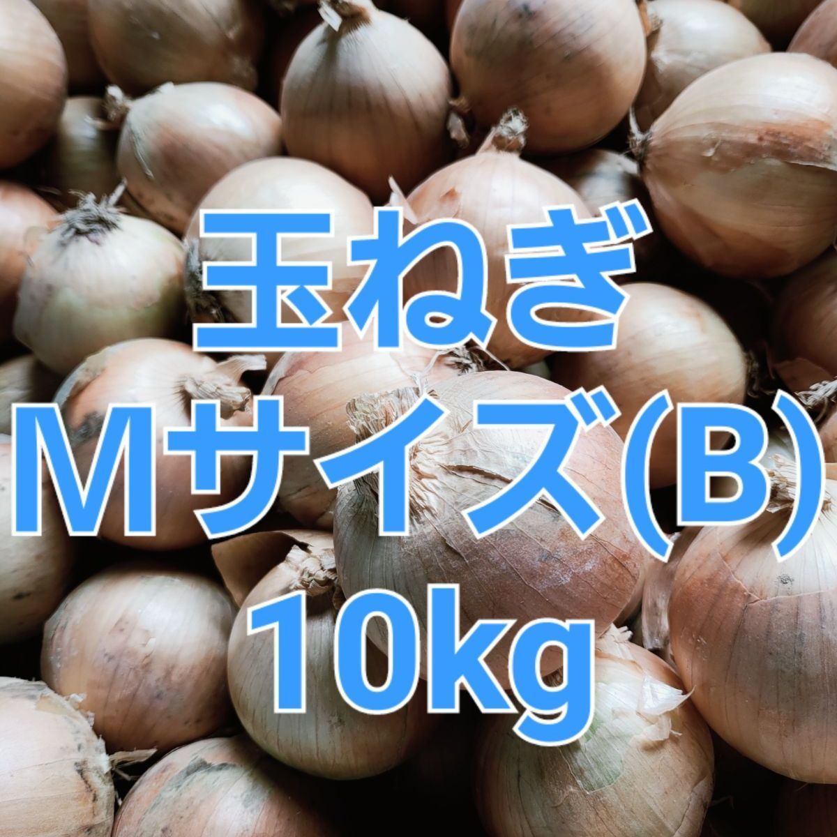 玉ねぎM〜L10キロ　野菜