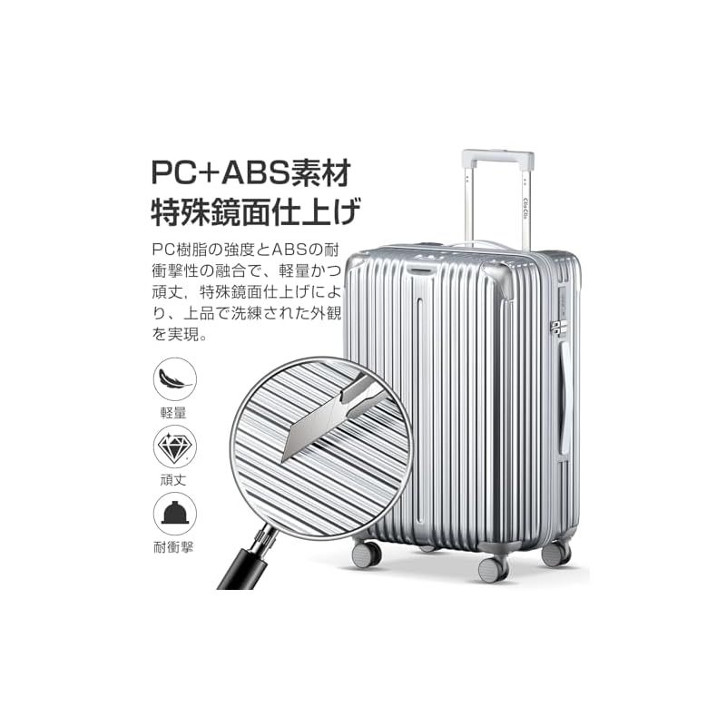 【希少】SWANY スワニー 4輪 キャリーバッグ バッグ取外し可 【美品】 希少✨SWANY スワニー 4輪 キャリーバッグ バッグ取外し可