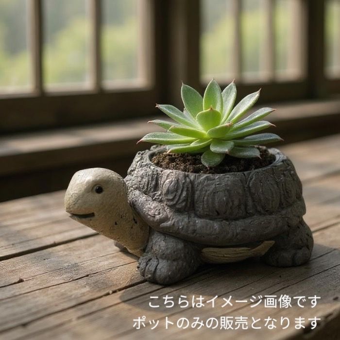 亀図　深鉢　小壺　MA876 亀図 深鉢 小壺 MA876
