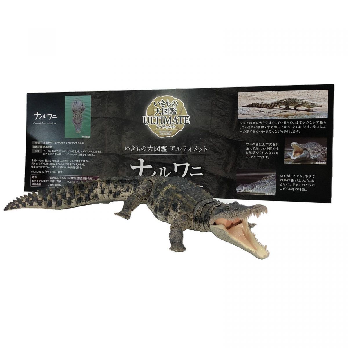いきもの大図鑑アルティメット ナイルワニ 51P1g6l2aXL._AC_SY200_QL15_.jpg