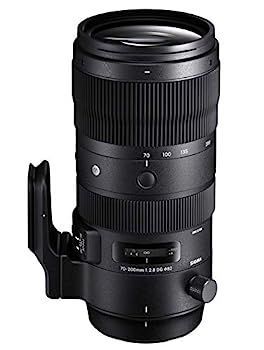 SIGMA 70-200mm f2.8 sports(Nikon Fマウント) 【公式通販】