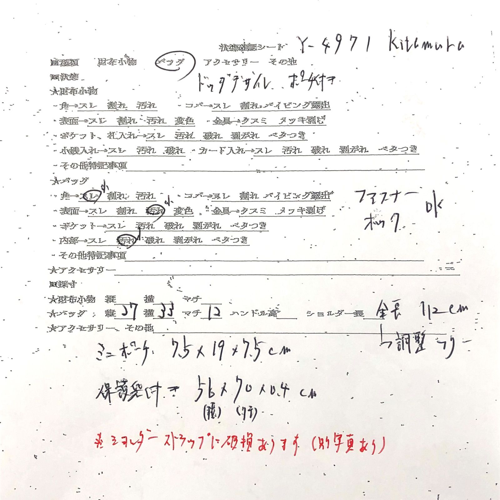 キタムラ セントバーナード