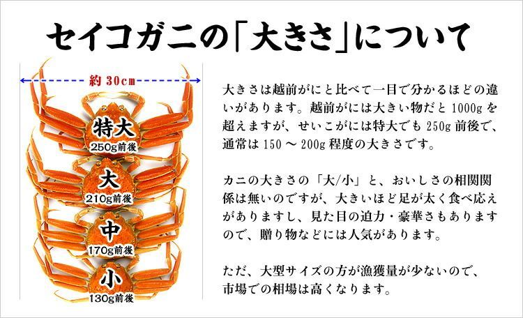 セイコガニ