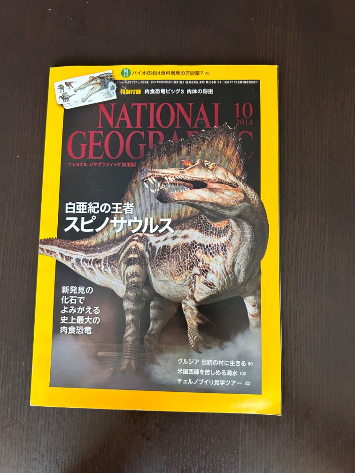 ナショナルジオグラフィック日本版2010年4月号 - その他