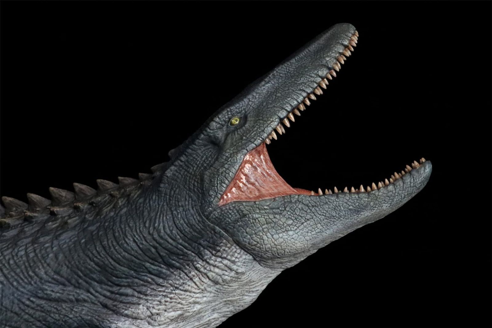 Nanmu 本心楠改モササウルスLord of Abyss 2.0 65cm級 大きい