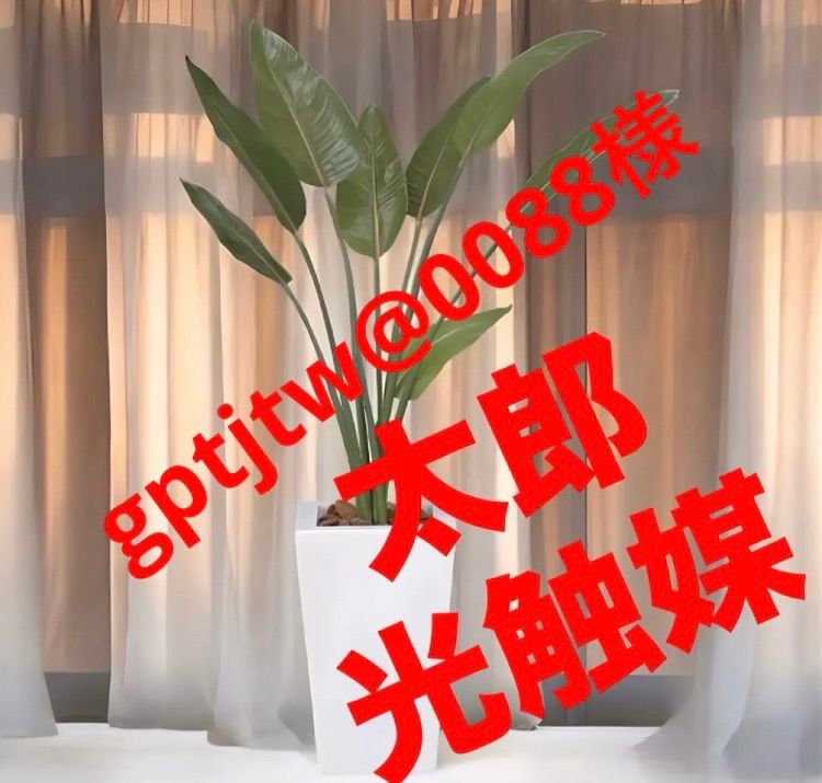 クレマチス苗　入手困難 ポットごと速達発送 クレマチス苗 入手困難 ポットごと速達発送 - メルカリ