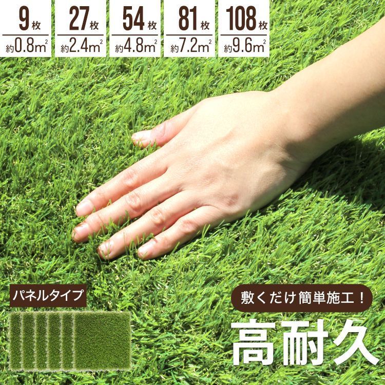25/6/7出品 パキポディウムグラキリス(現地球)宮下将太(鉢込み)