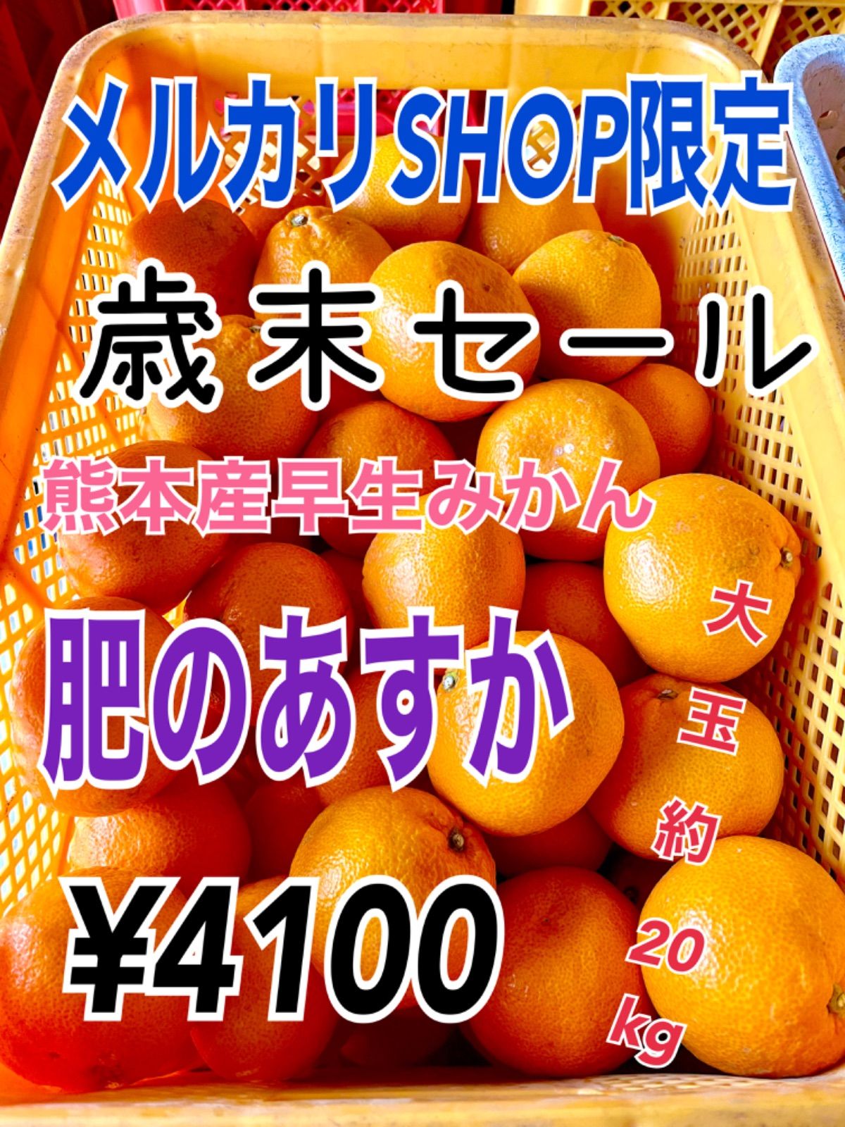 熊本県産 極早生みかん 家庭用 20キロ - 果物