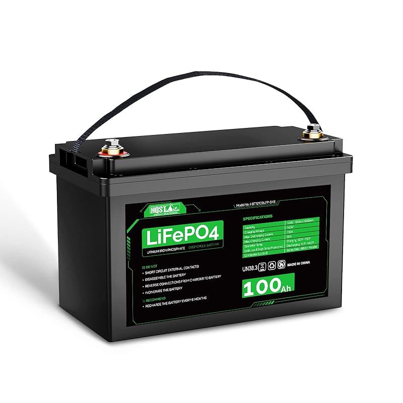 HQST 12V 100Ah LiFePO4リン酸鉄リチウムイオンバッテリー 低温