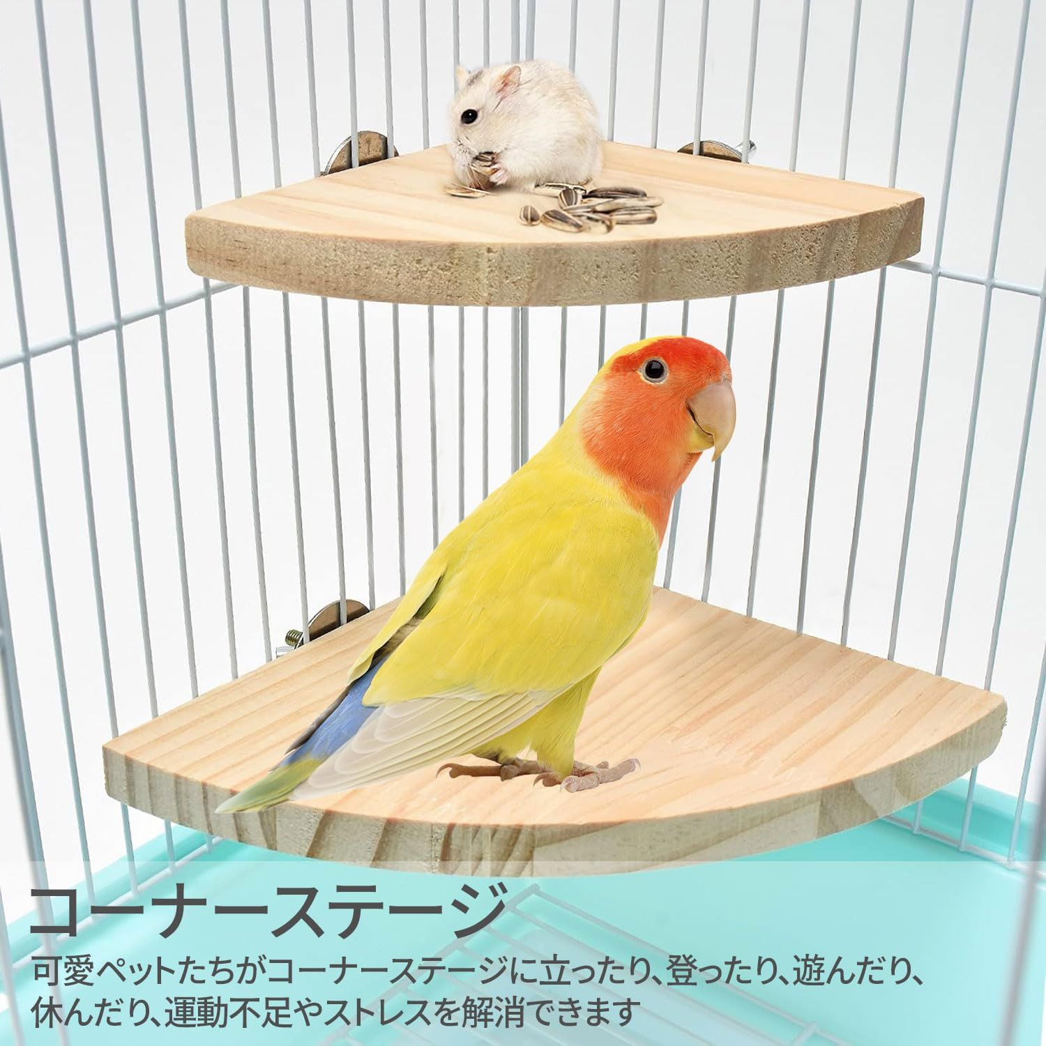 オウムスタンド&ミニスタンド止まり木セット 止まり木 鳥 インコ 鳥用パーチ 止まり木スタンド とまりぎ