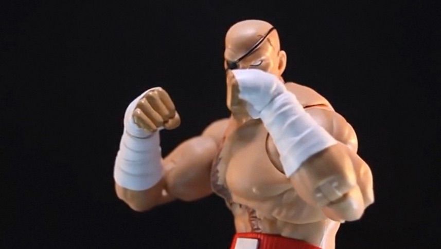 ストリートファイター フィギュア サガット 1/12スケール 16cm