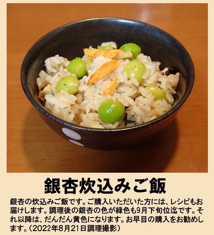 2024年新物 生産者直送 久寿ぎんなん 愛知県 祖父江産 銀杏 3L