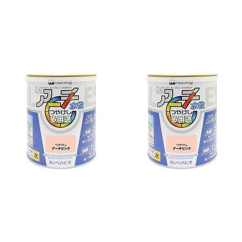 カンペハピオ - アレスアーチ - アーチピンク - - 2L 2缶セット【BT-64