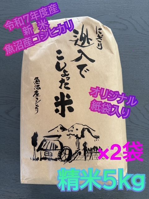 お買得 令和7年産 魚沼産コシヒカリ 新米 5㎏×2袋 10kg 白米 棚田米 農地直送 オリジナル紙袋でのお届け 数量 贈呈用 お歳暮