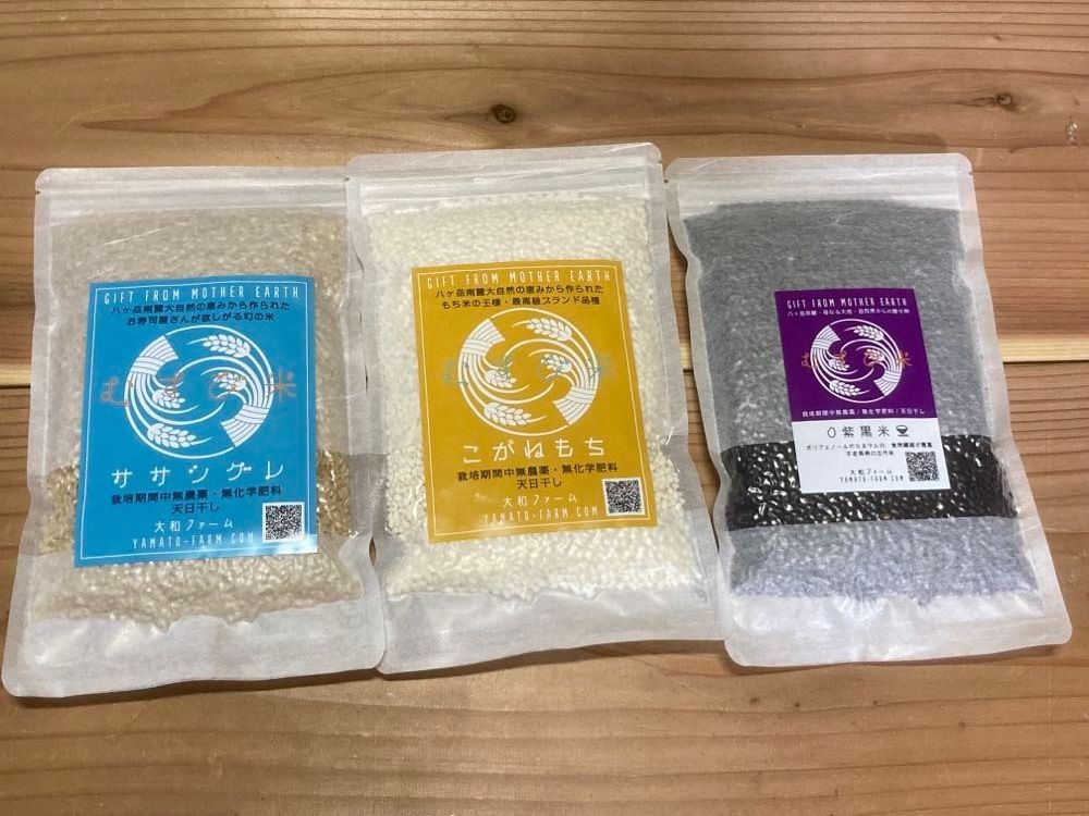 むすび米GIFTセットB（ササシグレ玄米×こがねもち白米+紫黒米）-1