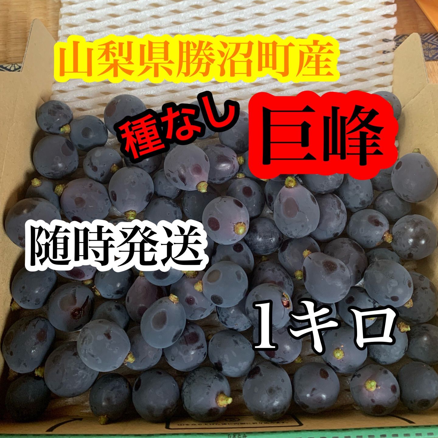 【訳あり】山梨県　勝沼産 種無し巨峰 5kg 山梨県勝沼産訳あり 種無し 巨峰 1キロ 粒のみ 8月上旬発送用