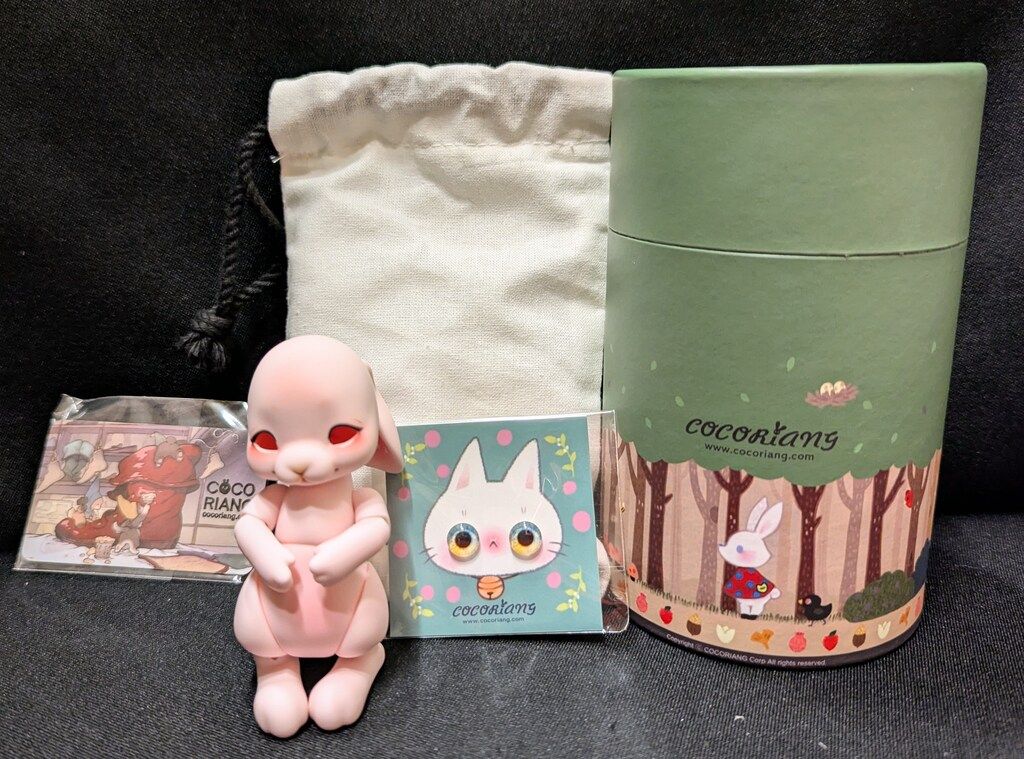 DOLK×cocoriang COCO S PET Tobi SAKURA Limited