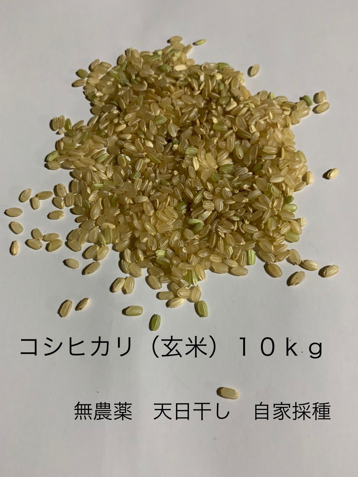 「コシヒカリ　10kg 玄米」　無農薬　天日干し　自家採種