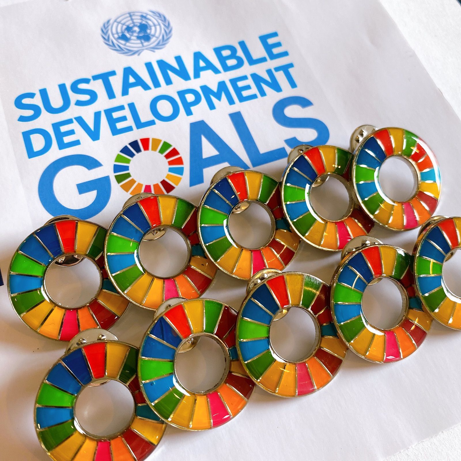 SDGs ピンバッジ 訳あり品 10点セット - メルカリ