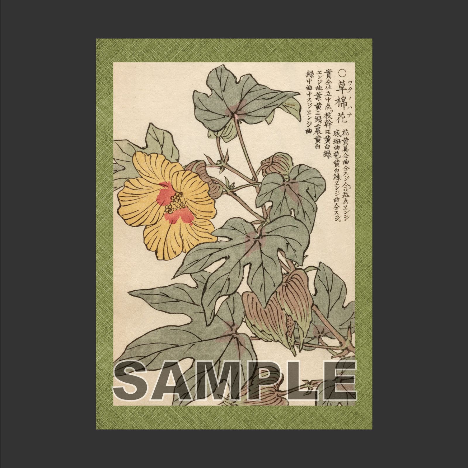 幸野楳嶺 「千種の花 ワタノハナ」 ボタニカルアート 日本画ポスター 幸野楳嶺 「千種の花 ワタノハナ」 ボタニカルアート 日本画ポスター