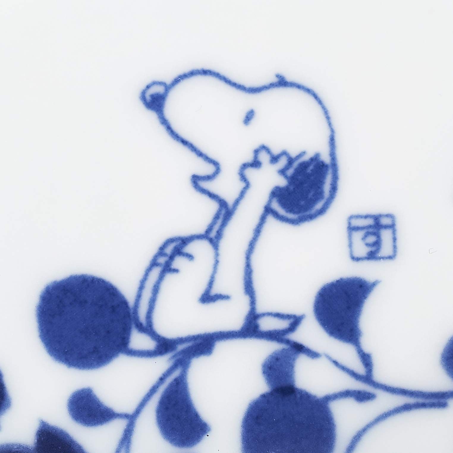 6点セット 化粧箱入