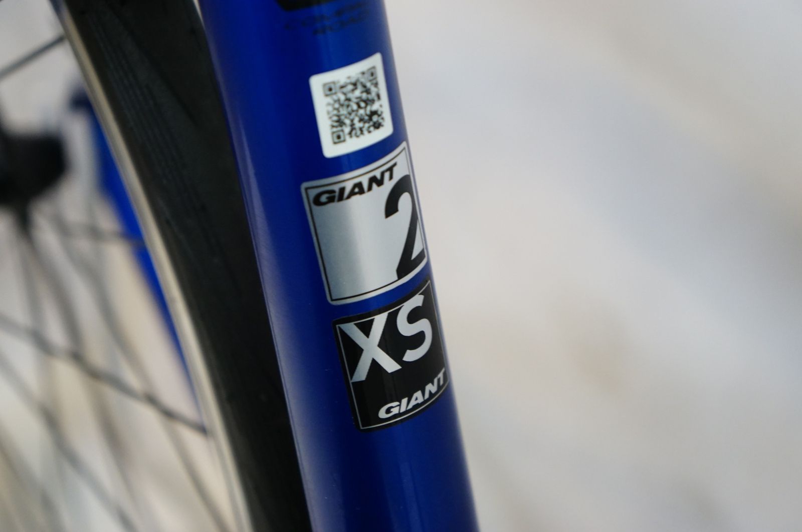 GIANT ジャイアント