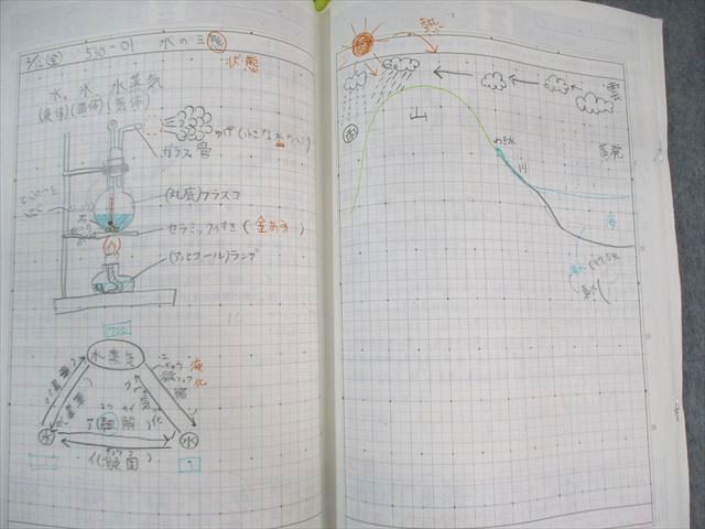 SAPIX デイリーサピックス 小学5年 理科 SAPIX 小5 サピックス デイリー/サマー 理科 通年セット 【計45