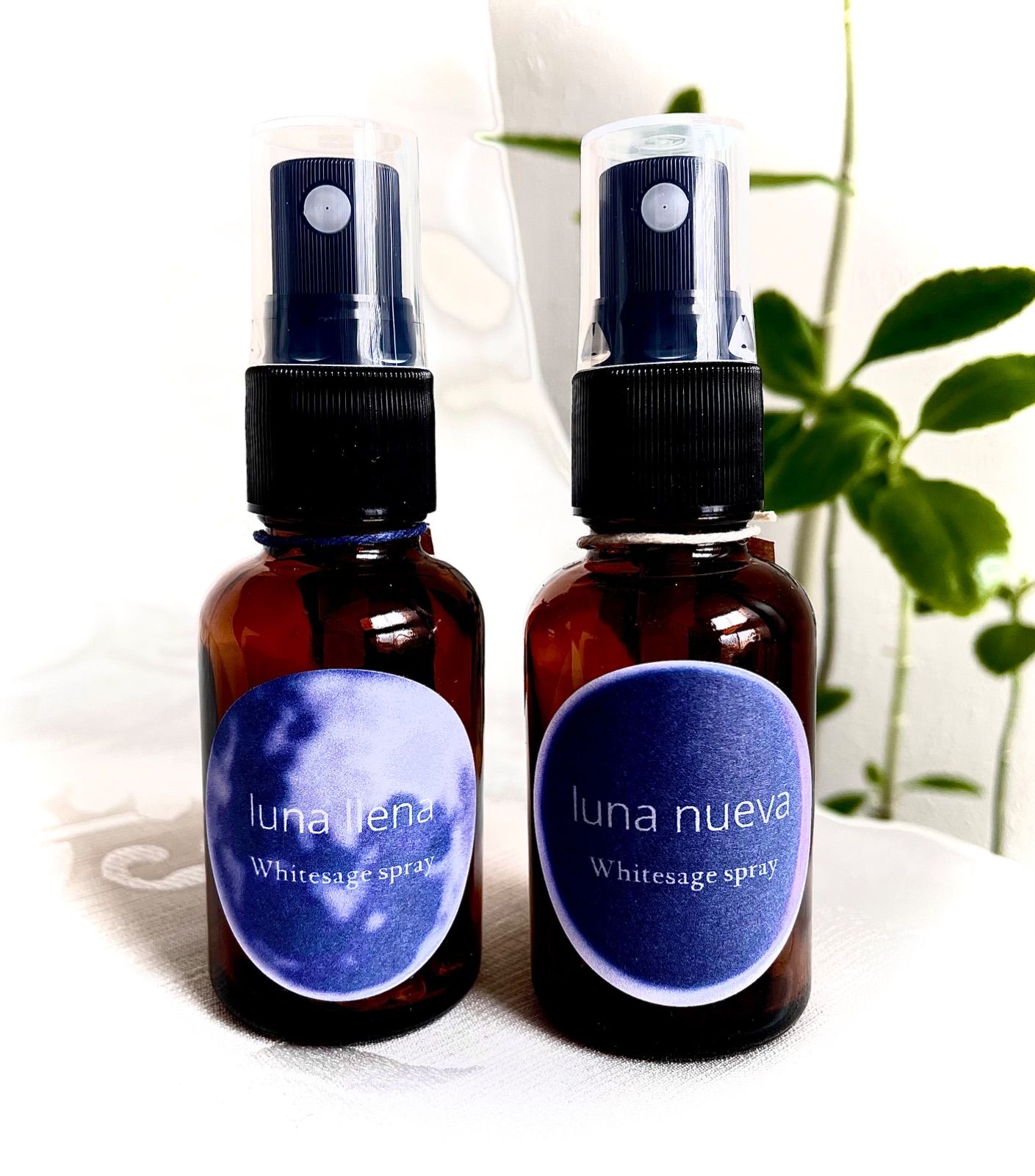 メルカリshops ホワイトセージ浄化スプレー 望月 朔月 30ml