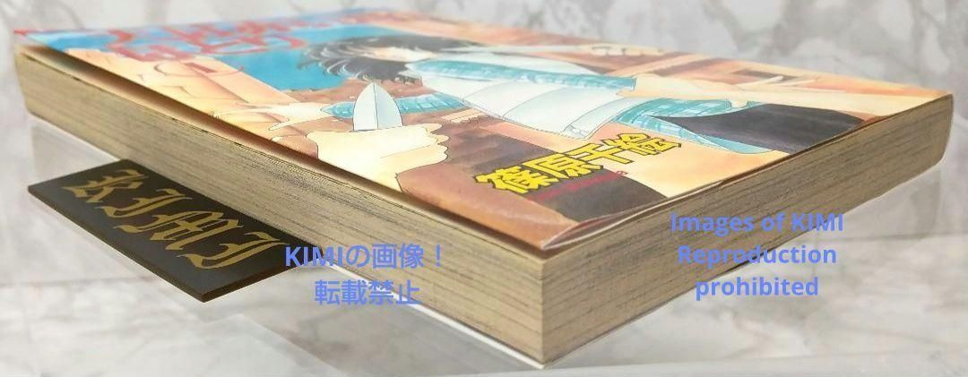 希少 初版 天は赤い河のほとり 1 コミック マンガ 本 1995 篠原