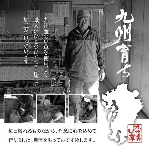 い草 上敷き カーペット 双目織 江戸間4.5畳 約261×261cm 白浜 1010190012402 MARWIL-DEMENAGEMENTS_CH