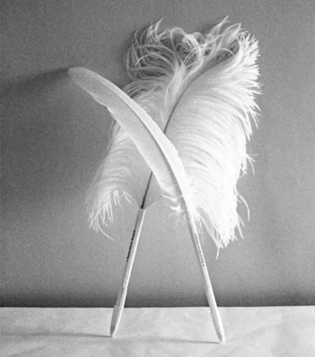 メゾンマルジェラフェザーペン