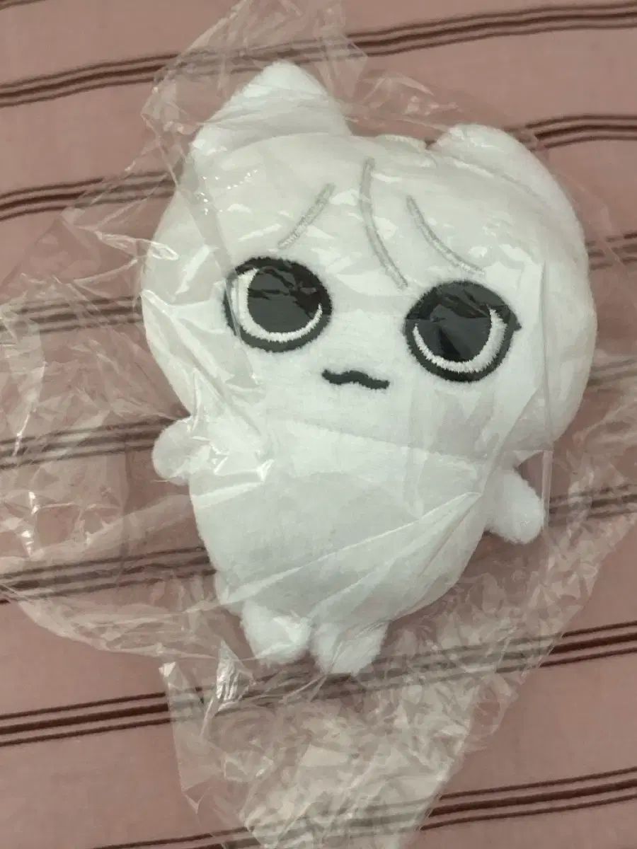 boynextdoor ボネクド ソンホ 公開放送 トレカ Yset｜