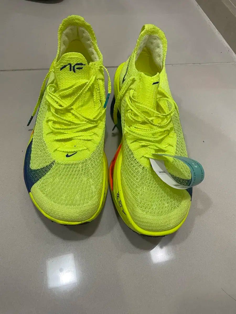 ナイキ アルファ 3 蛍光 255 サイズ