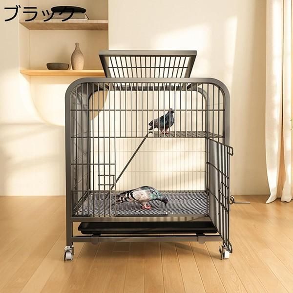 鳩 鳥籠