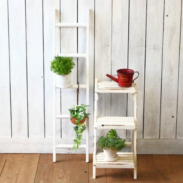 ディスプレイラック 飾り棚 ディスプレイ 棚 おしゃれ はしご
