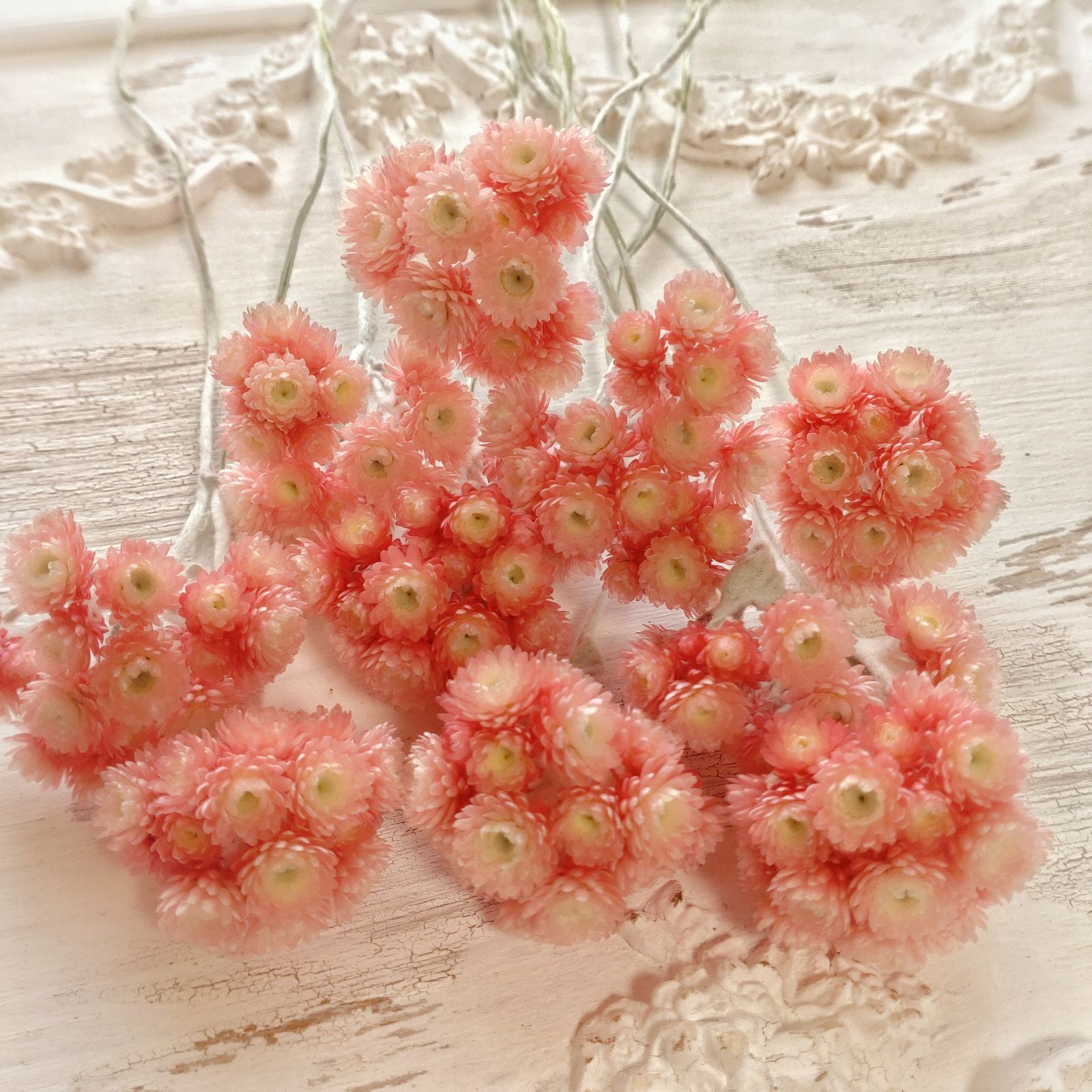 ドライフラワー　訳あり　ルビークラスター ドライフラワー訳ありルビークラスター