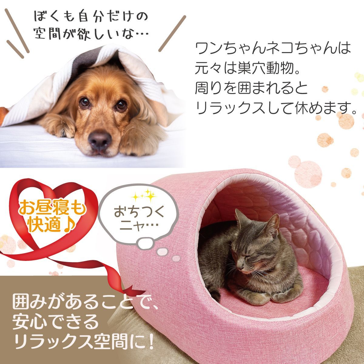犬 猫