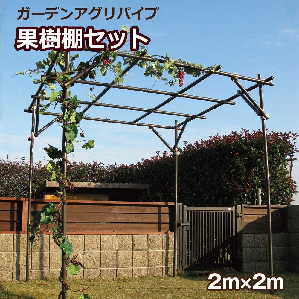 daim 果樹棚セット 幅2m×奥行2m×高さ2m 50cm埋め込み時 パーゴラ 栽培 くだもの棚 ガーデンアーチ 藤棚 果樹棚 果物棚 ぶどう棚