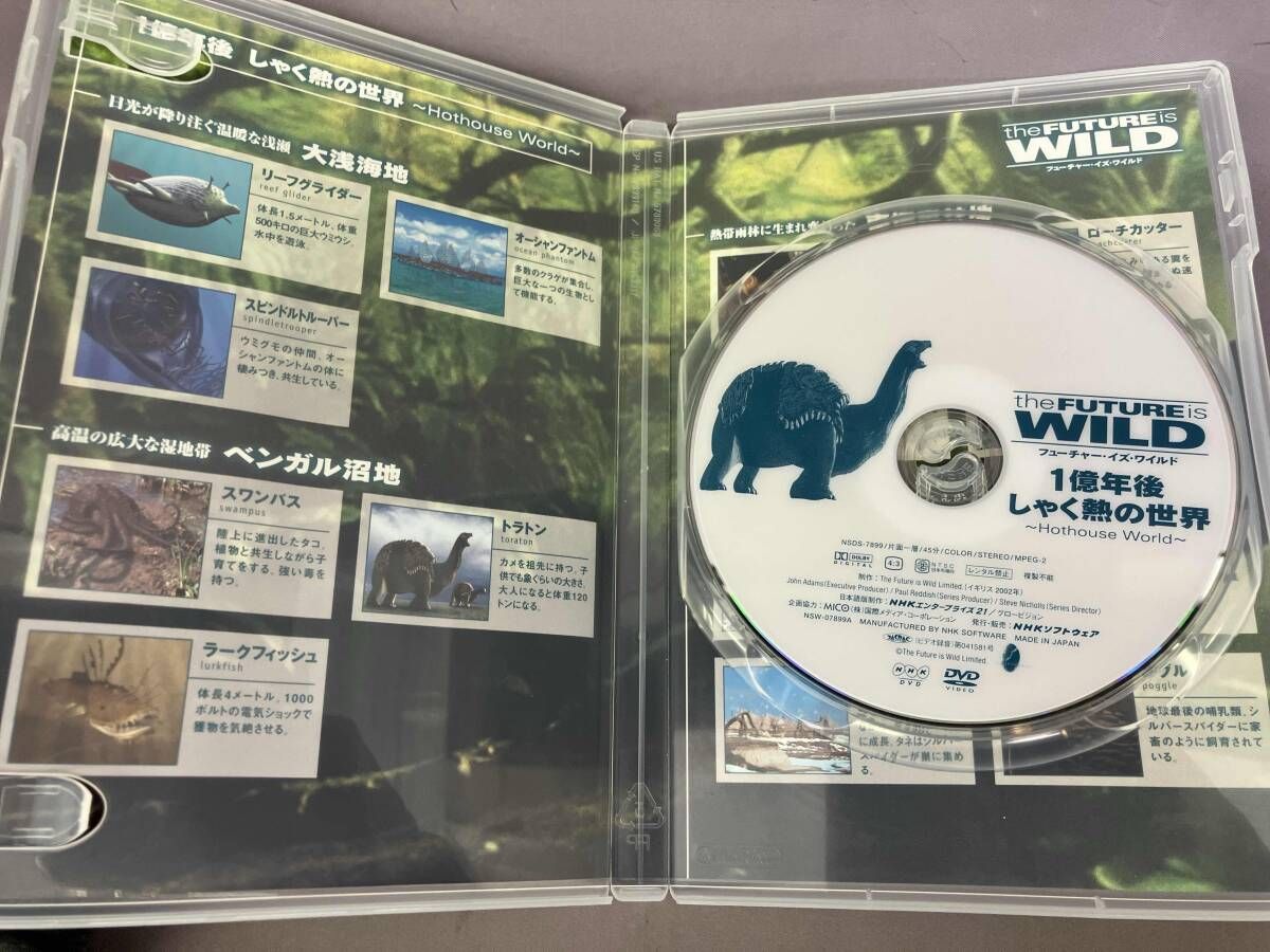 DVD フュｰチャｰ・イズ・ワイルド DVD-BOX - メルカリ