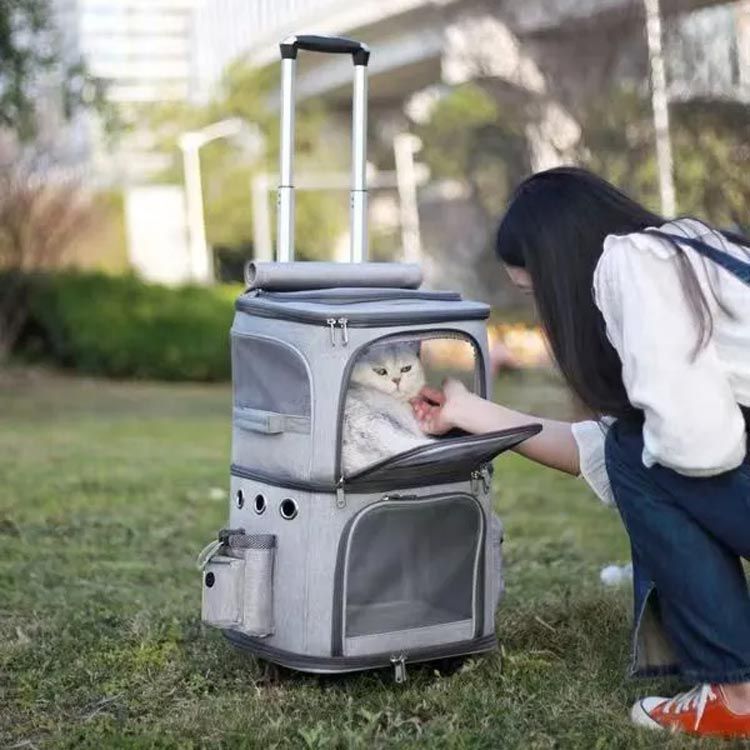 猫用