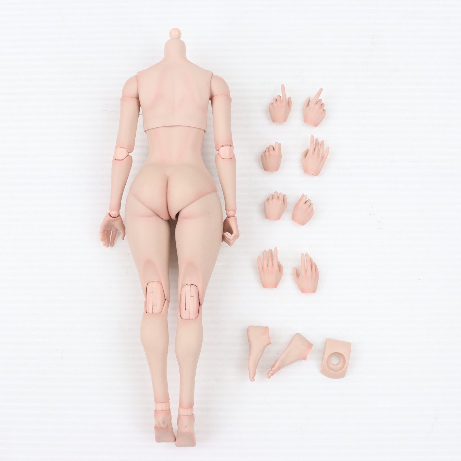 Girls Body(ガールボディ) AT202 女性素体 白肌 1/6 ドール用素体 World Box(ワールドボックス) - メルカリ