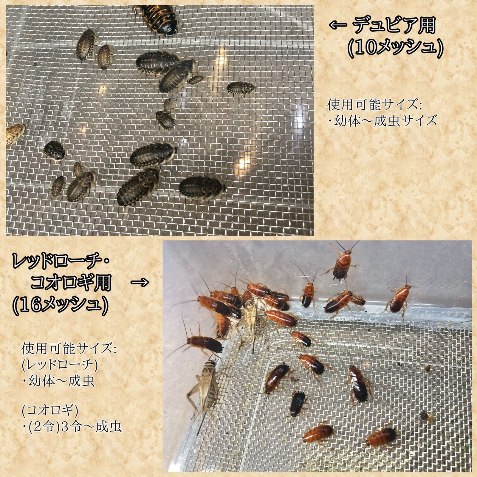 水入れ シェルター