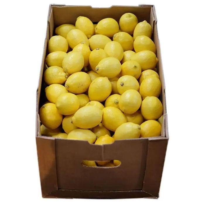 チリ産レモン約17kg165玉 2