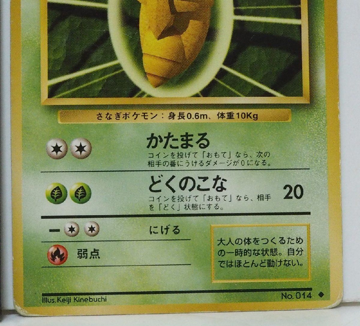 旧裏ポケモン カードゲーム 第1弾【1進化 コクーン LV.23 HP80】草No