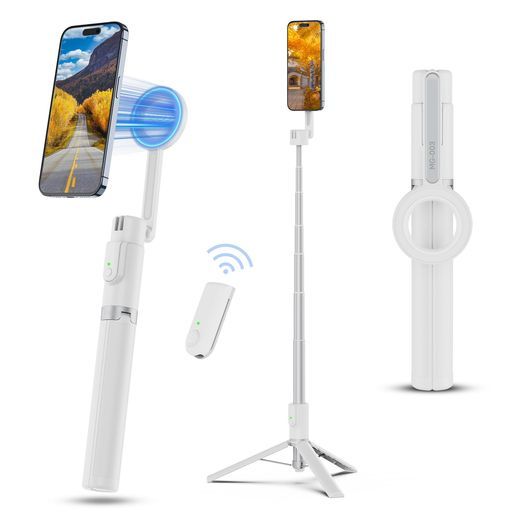 加島祥造 没10周年記念【短冊】 ショップ