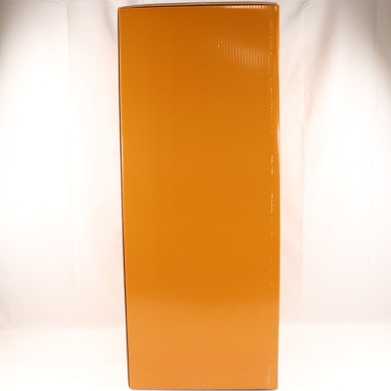 可動フィギュア