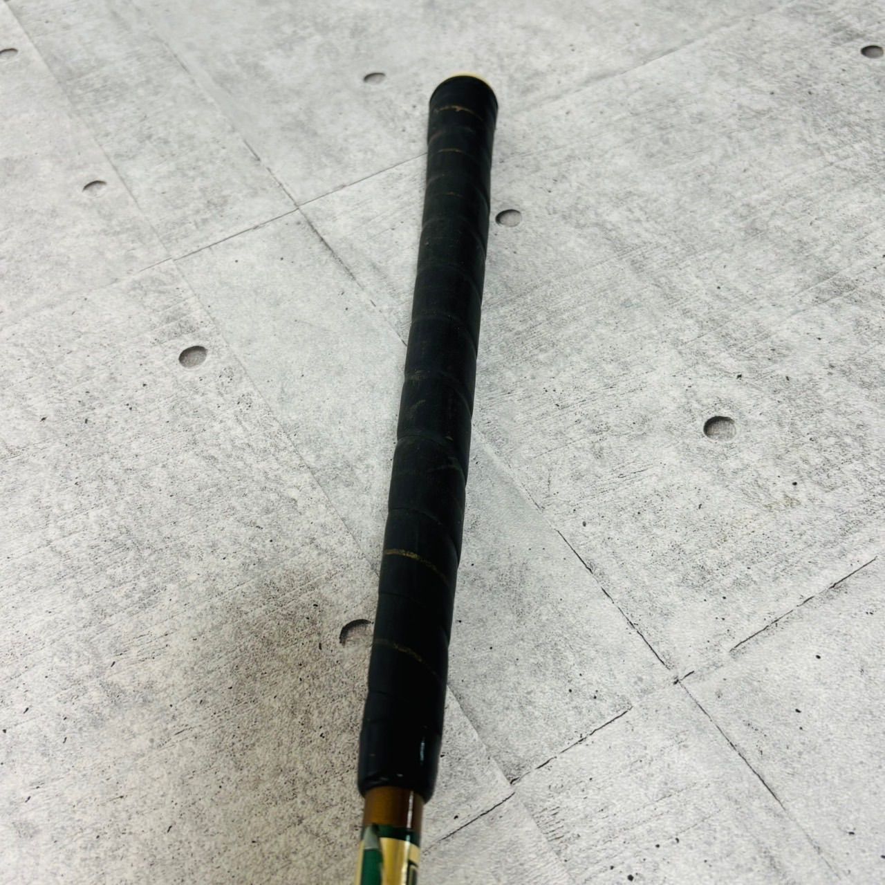 ヒファエノイデス　根挿し株【25023H】　オペルクリカリアヒファエノイデス ヒファエノイデス 根挿し株【25023H】 オペルクリカリアヒファエ