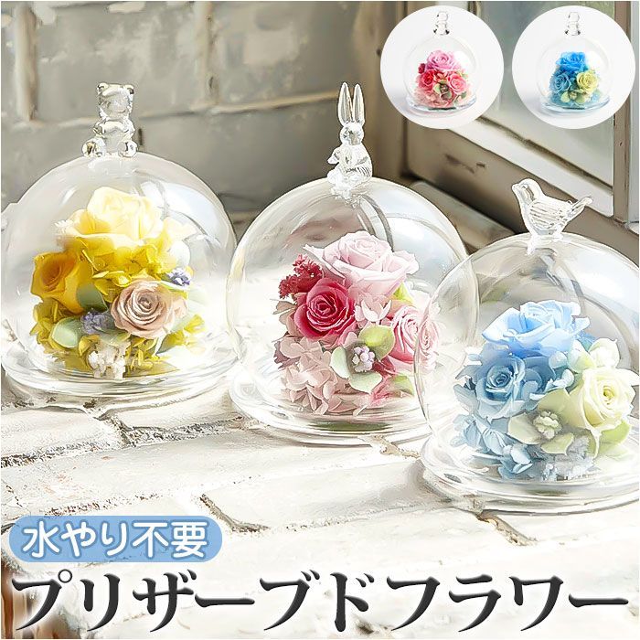 プリザーブドフラワー ガラスドーム 枯れない花 プレゼント ピンク 