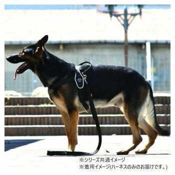 リフレクティブ